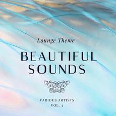 Beautiful Sounds (Lounge Theme), Vol. 3 mp3 Compilation by Various Artists