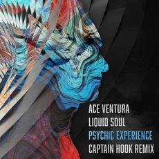 Psychic Experience (Captain Hook remix) mp3 Single by Ace Ventura