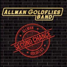 Second Chance mp3 Album by Allman Goldflies Band