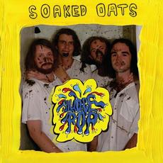 Sludge Pop mp3 Album by Soaked Oats