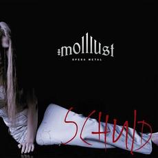Schuld mp3 Album by molllust