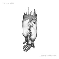 January Came Close mp3 Album by Cardinal Black