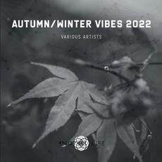 Autumn / Winter Vibes 2022 mp3 Compilation by Various Artists