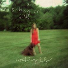 Waking Life mp3 Single by Schuyler Fisk