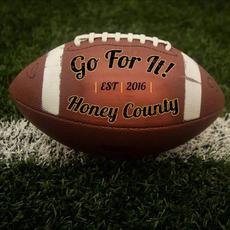 Go for It mp3 Single by Honey County