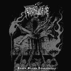 Black Blood Aggression mp3 Album by Necromutilator