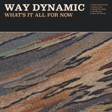 What's It All For Now mp3 Album by Way Dynamic