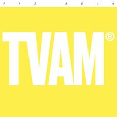Piz Buin mp3 Single by TVAM