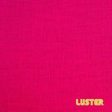 Luster mp3 Album by Luster
