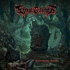 Necromantic Rituals mp3 Album by Final Error