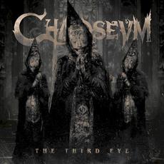 The Third Eye mp3 Album by Chaoseum