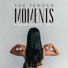 The Tender Moments, Vol. 1 mp3 Compilation by Various Artists