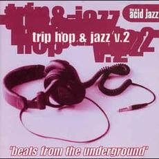 This is Acid Jazz: Trip Hop & Jazz V.2 mp3 Compilation by Various Artists