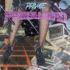 PRIVATE PASSWORD mp3 Album by DJ Dubplates