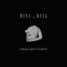 I Know A Place (MNEK Remix) mp3 Remix by MUNA