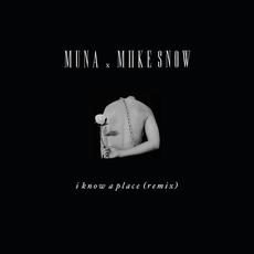 I Know A Place (Remix) mp3 Remix by MUNA