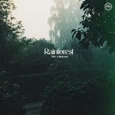 Rainforest mp3 Single by Tah. x Blumen