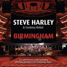 Birmingham (Live With Orchestra & Choir) mp3 Live by Steve Harley & Cockney Rebel