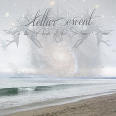 On the Shores of this Cosmic Ocean mp3 Album by Stellar Descent