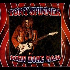 Down Home Mojo mp3 Album by Tony Spinner