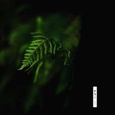 Leaves mp3 Album by Blackone Beats