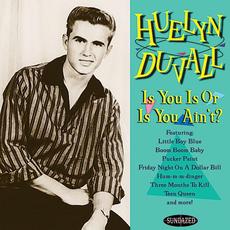 Is You Is or Is You Ain't? mp3 Album by Huelyn Dyvall