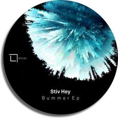 Bummer mp3 Single by Stiv Hey