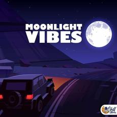 Moonlight Vibes mp3 Compilation by Various Artists