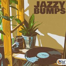 Jazzy Bumps mp3 Compilation by Various Artists