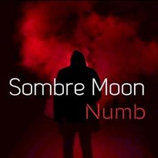 Numb mp3 Single by Sombre Moon