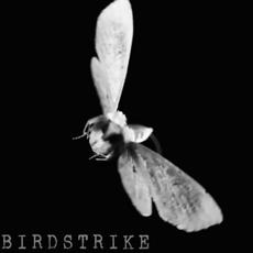 Birdstrike mp3 Single by Ars Pro Vita