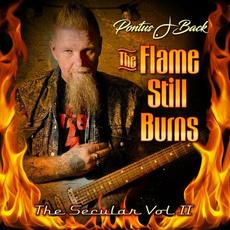 The Flame Still Burns mp3 Album by Pontus J. Back