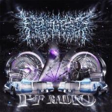 PF Radio mp3 Album by PeelingFlesh