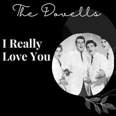 I Really Love You mp3 Artist Compilation by The Dovells