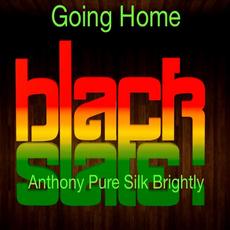 Going Home mp3 Single by Black Slate