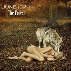 The Forest mp3 Single by June 1974