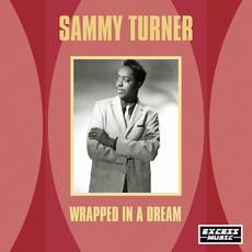 Wrapped In A Dream mp3 Artist Compilation by Sammy Turner