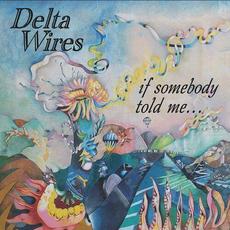 If Somebody Told Me mp3 Album by Delta Wires