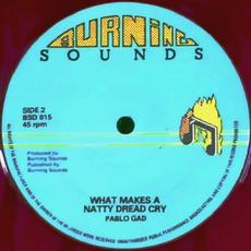 Throw Your Dreams / What Makes A Natty Dread Cry mp3 Single by Pablo Gad