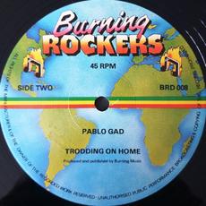 Natty Loving / Trodding on Home mp3 Single by Pablo Gad