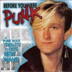 Before You Were Punk mp3 Compilation by Various Artists