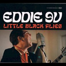 Little Black Flies mp3 Album by Eddie 9V