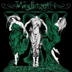 The Other Side mp3 Album by Wedingoth