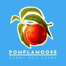 Sorry Not Sorry mp3 Single by Pomplamoose