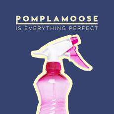 Is Everything Perfect mp3 Single by Pomplamoose