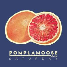 Saturday mp3 Single by Pomplamoose
