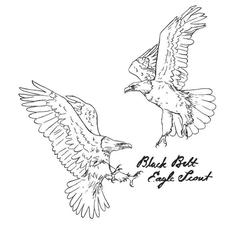 Black Belt Eagle Scout mp3 Album by Black Belt Eagle Scout