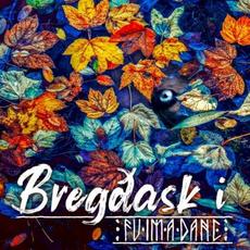 Bregðask I mp3 Album by Fuimadane