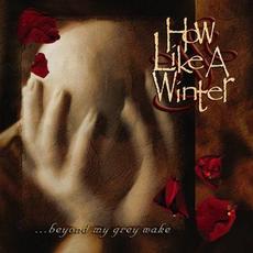 ...Beyond My Grey Wake mp3 Album by How Like a Winter