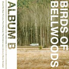 Album B mp3 Album by Birds of Bellwoods